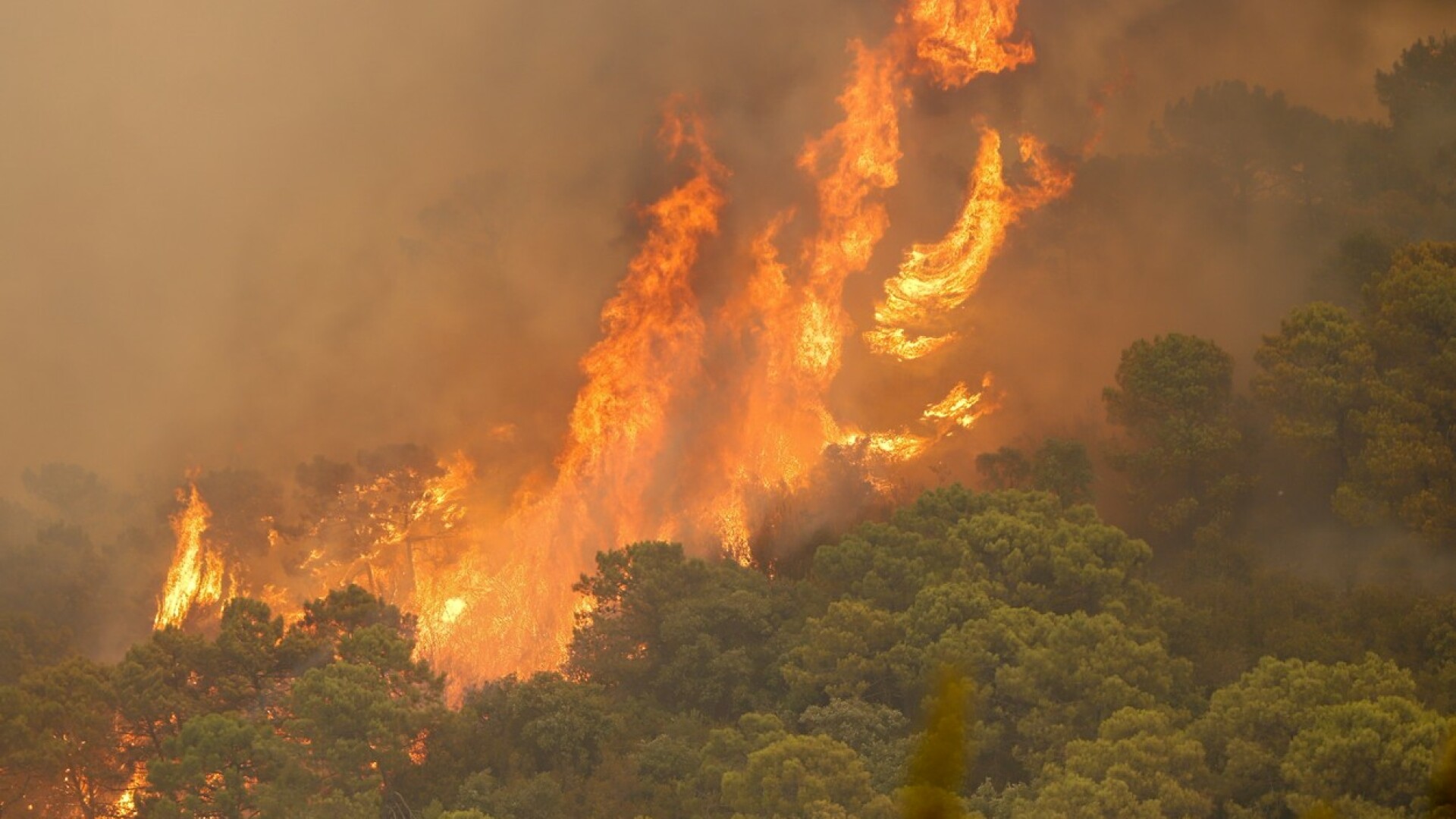 VIDEO. Incendiu devastator în Spania. Un pompier a murit, iar cel puțin 1.000 de persoane au fost evacuate