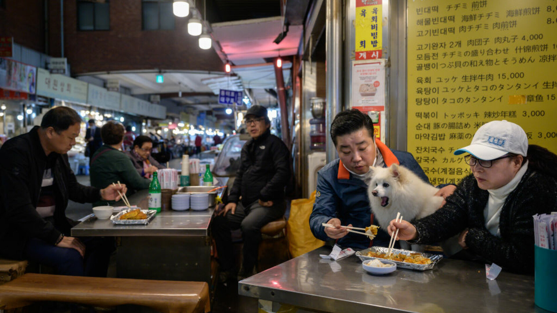 Coreea de Sud ar putea interzice consumul de carne de câine. Ce părere au oamenii