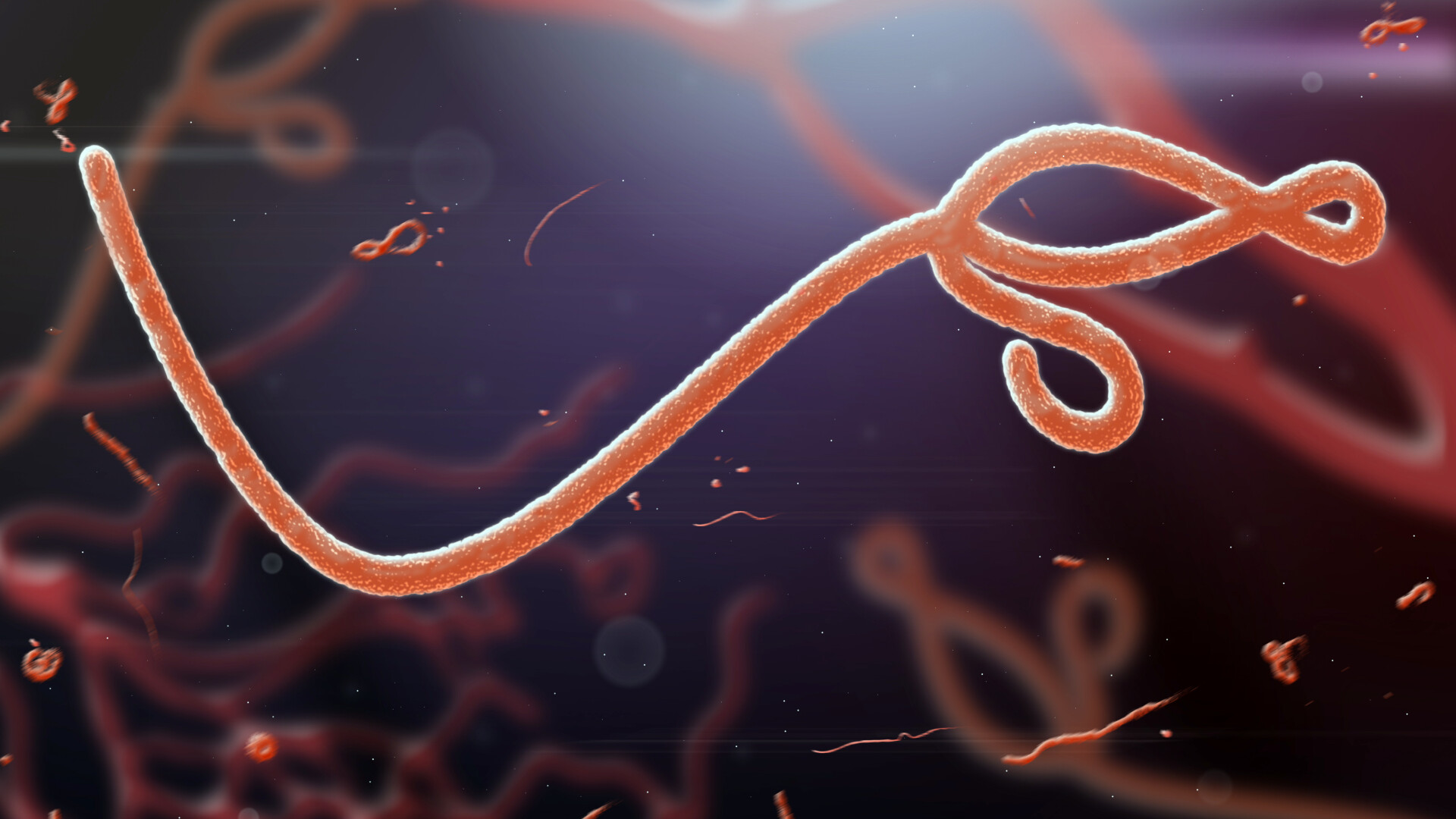 Ebola