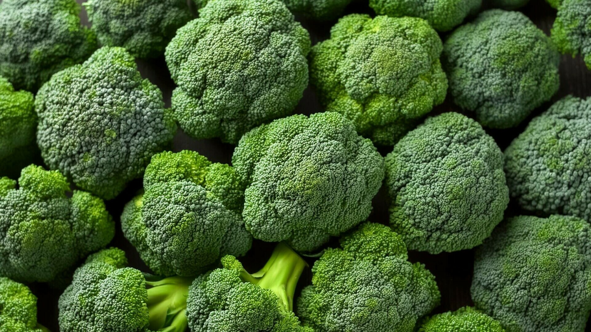 broccoli