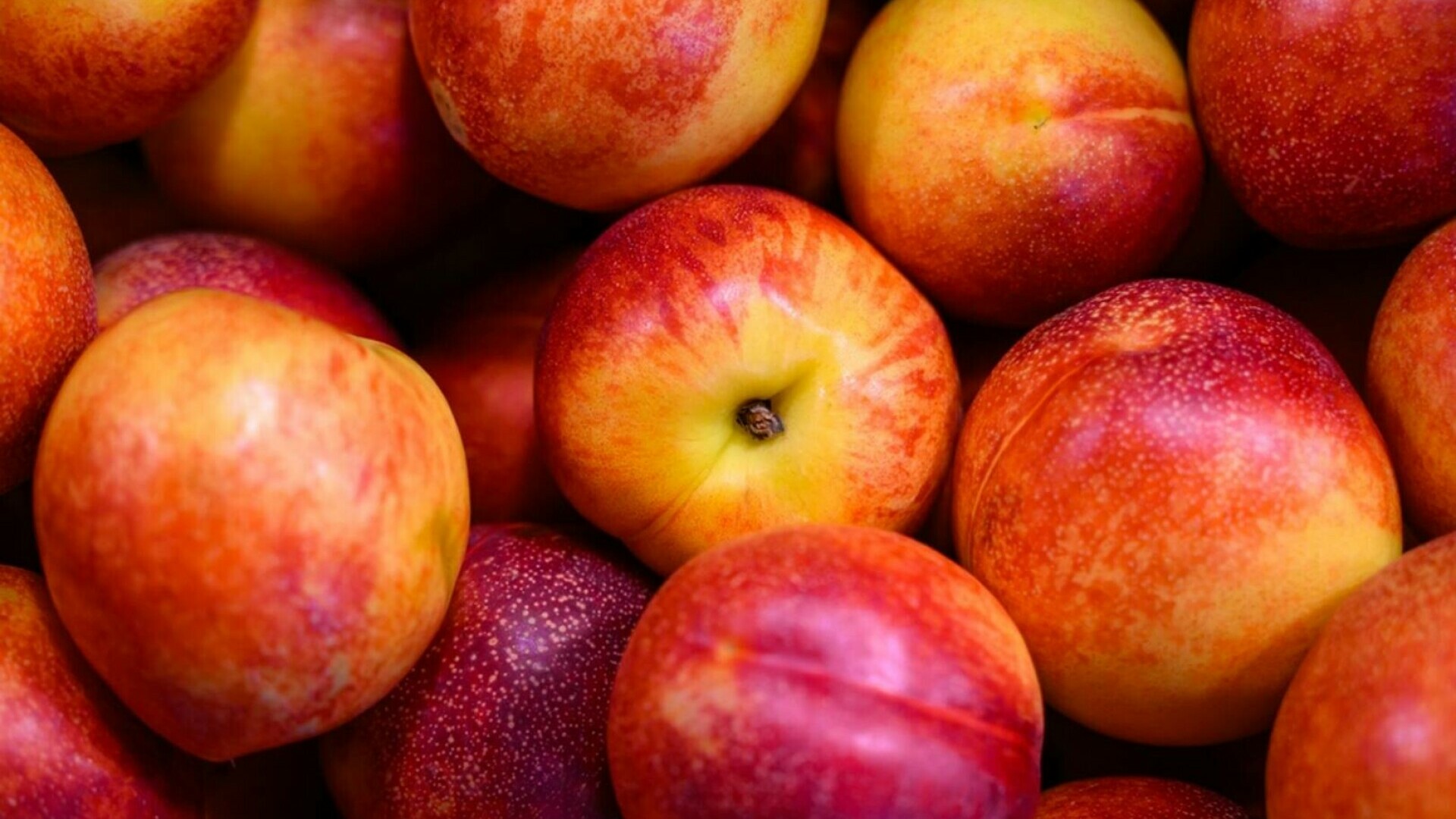 Nectarine