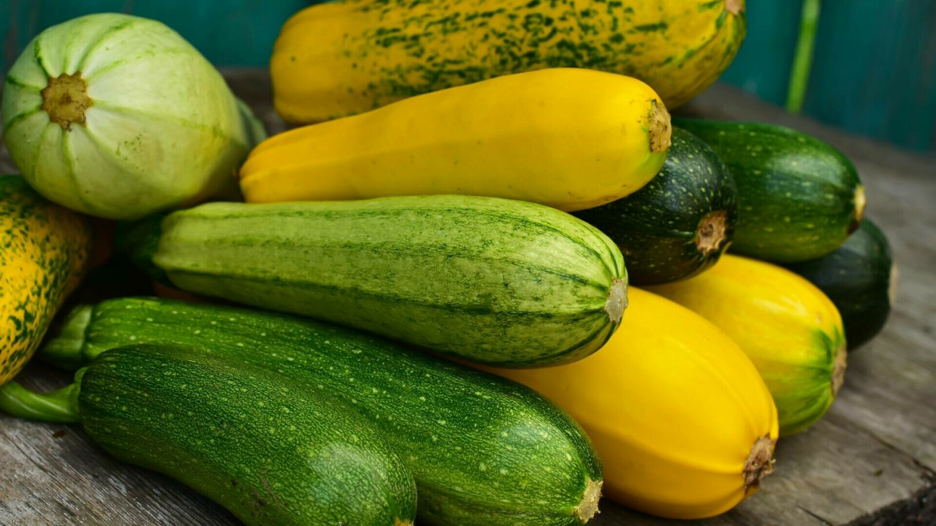 Zucchini: beneficii, rețete și sfaturi de cultivare. Cum să introduci această super legumă în dieta ta