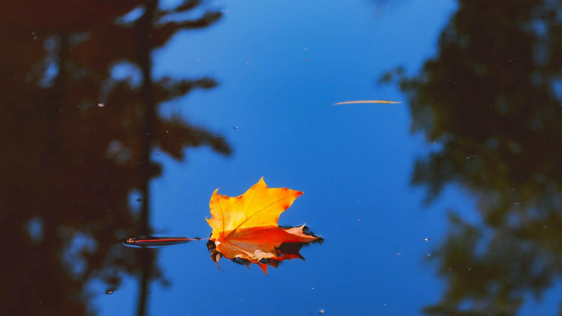 echinoctiul de toamna