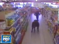 Taur in supermarket