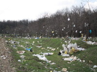 Locul unde gunoaiele \