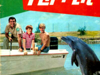 Flipper