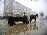 Caruta in Baia Mare