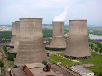 Afaceri de succes prin Google Translate. Chinezii investesc peste un miliard de euro in Romania