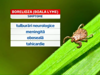 boala Lyme