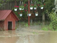 Sute de hectare de terenuri agricole din Mures au fost acoperite de apa