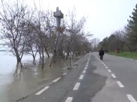 Dunare, inundatii