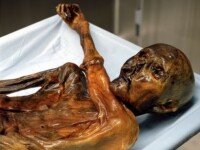 mumia lui Otzi