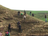 Campanie de impadurire in judetul Cluj