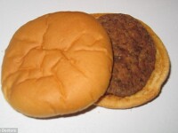Hamburger 1999