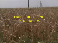 Romania cere 1 mld. de euro de la UE pentru salvarea agriculturii. Cat pierdem din lipsa irigatiilor