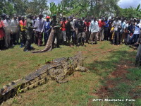 crocodil Uganda