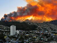 Dezastru in Chile, dupa un incendiu care a distrus 800 de hectare. Cel putin 16 oameni au murit, peste 10.000 sunt evacuati