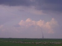 Fenomene meteo extreme in toata tara. Grindina cat oul de porumbel in Timisoara iar in Arad a fost surprinsa o mini 