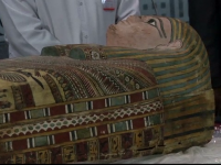 Egipt expozitie