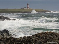 Insula Bardsey