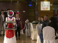 chelneri roboti