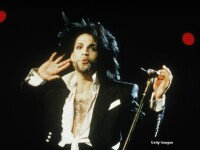 Prince 1991
