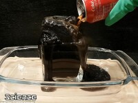 experiment cola