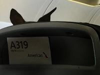 Cum a obtinut acest caine un loc in cursa American Airlines pe ruta Palm Beach - Washington DC. Reactiile starnite in online