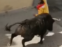 Un bărbat a fost ucis de un taur, în timpul unui festival, în Spania. Imagini șocante