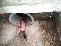 Un bebeluș dezbrăcat a supraviețuit după ce a fost abandonat într-o canalizare
