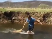 Câine ciobănesc bătut şi înecat în râul Timiş de 2 tineri. Au postat apoi pe Facebook, ca să se laude