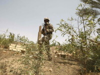 Înalt responsabil al Comitetului Olimpic Irakian, răpit la Bagdad