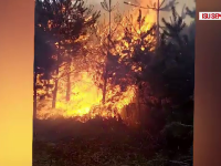 Dezastrul provocat de un incendiu în Caraș-Severin