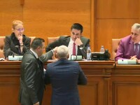Scandal în Parlament, la votul privind referendumul. Deputatul Rădulescu a sărit să-l apere pe Manda