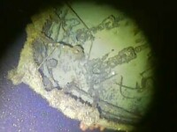 Descoperire istorică pe fundul oceanului Pacific. 