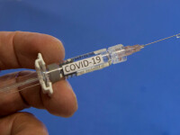 În lume se lucrează la peste 20 de vaccinuri anti-coronavirus. Când va fi gata primul tratament