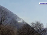 Incendii de pădure și vegetație, în Prahova și Bacău. Elicopter MAI, trimis în ajutorul pompierilor