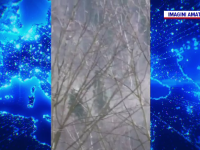 Alunecarea de teren din Azuga: ”În continuare muntele se mișcă”