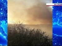 Un incendiu de vegetație amenința fabricile din apropiere de Oradea. Pompierii l-au lichidat după patru ore
