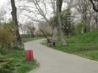 Tânără atacată într-un parc din Timișoara de un necunoscut. A pus-o la pământ și a strâns-o de gât