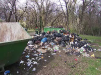 Parcul Herăstrău riscă să devină groapă de gunoi. Chiar firma de salubritate ar fi de vină
