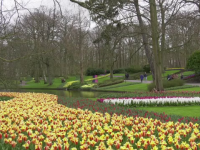 Olandezii au scăpat de o parte dintre restricții. Cea mai frumoasă grădină din țară s-a deschis pentru public