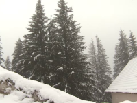 Cod galben de vânt puternic și ninsori în mai multe zone din România