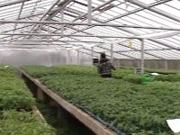 Universitățile de Științe Agricole au pătruns puternic pe piața alimentară. Ce produse oferă