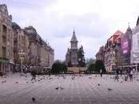 Autoritățile din Timișoara vor să interzică hrănirea porumbeilor în spațiul public