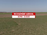 Recensământ agricol 2021. Din 10 mai, peste 20.000 de recenzori vor merge din fermă în fermă pentru a strânge informații