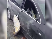 Un cabanier din Bucegi și-a găsit mașina distrusă de un urs. Ce s-a întâmplat