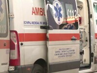 Tragedie în Dâmbovița. Un muncitor de 68 de ani a murit, iar un altul a fost rănit, după ce un copac a căzut peste ei