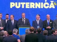 Nicolae Ciucă a devenit, oficial, noul președinte al Partidului Național Liberal. „Nu vreau să par ceea ce nu sunt