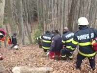 Tragedie într-o pădure din Prahova. Un muncitor a fost strivit de un copac proaspăt tăiat